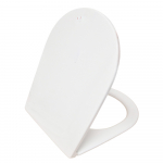 AXA DP Slim Soft Close Quick Release Toilet Seat & Cover Gloss White AF8401