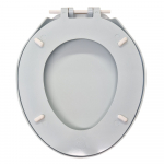 Cameron Plastics Osprey Standard Close Toilet Seat and Cover Soft Mint CP-OSP-SMI