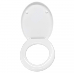 Valadares Darius Standard Close Toilet Seat & Cover White 50254000