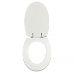 Azzurra Diana Sos Standard Close Toilet Seat & Cover Polyester Resin Colour Choice S509P02