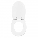 Cesame Equa Toilet Seat & Cover Polyester Resin S369P01/A