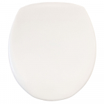 Duravit Architec  Standard Close Toilet Seat & Cover White 0062810000