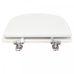 Ceramica Ala Today Standard Close Toilet Seat & Cover Polyester Resin Colour Options S303P05/D