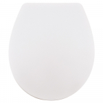 Armitage Shanks Uni Soft Close Toilet Seat & Cover White E131801