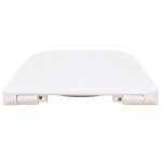 Ideal Standard i.Life A Standard Close Toilet Seat & Cover White T453001