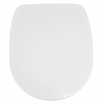Ideal Standard Tempo Arc Soft Close Toilet Seat & Cover White T690001