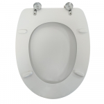 Pozzi Ginori Curva Standard Close Toilet Seat & Cover Polyester Resin Colour Option S440P04/A