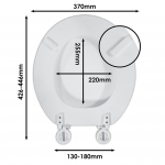 Celmac Woody Standard Close Toilet Seat & Cover With Stainless Steel Hinges White 21230004