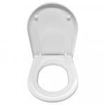 Laufen Pro Soft Closing Toilet Seat And Cover H8919513000031