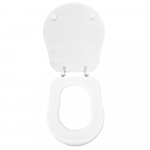 GSI Old Antea Standard Close Toilet Seat & Cover Polyester Resin Colour Option S312P01/D