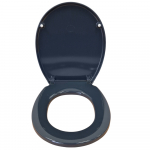 Armitage Shanks Contour 21 Standard Seat & Cover Charcoal S4065RN