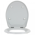Doulton Florette Toilet Seat & Cover (Original) HM-DOU-FLO