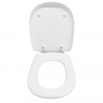 Ideal Standard Ravenna Standard Close Toilet Seat & Cover Colour Options 178000-BA1999