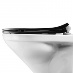 Pressalit Projecta Solid Pro Polygiene Soft Close Toilet Seat & Cover Black 1004111-DG4925