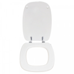 Pozzi Ginori Italica Duo Standard Close Toilet Seat & Cover Polyester Resin Colour Options S363P05/A