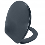 Armitage Shanks Contour 21 Standard Seat & Cover Charcoal S4065RN