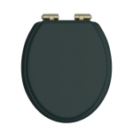 Heritage Bathrooms Soft Close Quick Release Toilet Seat & Cover Classic Green With Brushed Brass Hinges TSCLG104SC