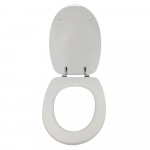 Pozzi Ginori Curva Standard Close Toilet Seat & Cover Polyester Resin Colour Option S440P04/A
