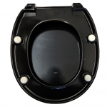 Armitage Shanks Contour 21 Standard Close Toilet Seat & Cover Black S405866