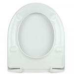 Keramag Renova Nr. 1 Standard Toilet Seat And Cover 573015000