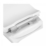 Pressalit Projecta Solid Pro Polygiene Soft Close Toilet Seat & Cover Black 1004111-DG4925