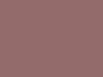 Armitage Shanks Astra Standard Close Toilet Seat & Cover Colour Choice S405001