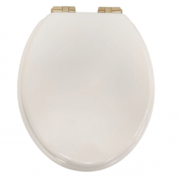 Heritage Bathrooms Soft Close Quick Release Toilet Seat & Cover White Gloss With Brushed Brass Hinges TSWGL104SC